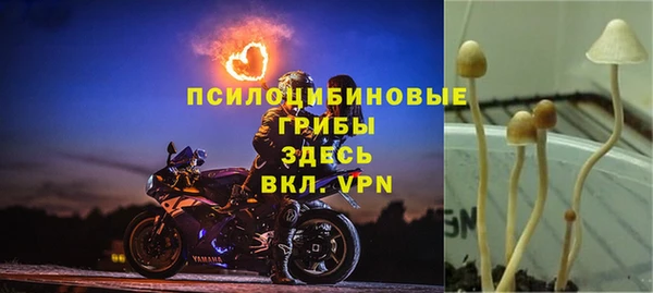 прущая мука Мурманск