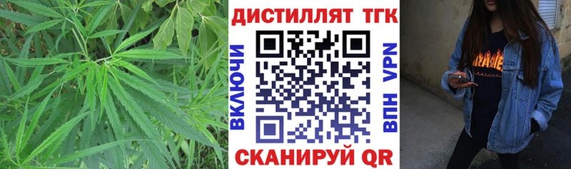 мориарти клад  Кольчугино  Дистиллят ТГК концентрат  продажа наркотиков 