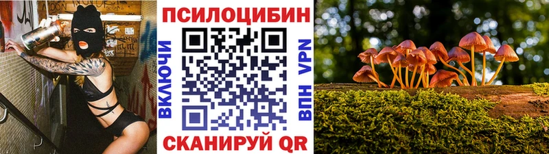 Псилоцибиновые грибы Psilocybe  blacksprut вход  Кольчугино 
