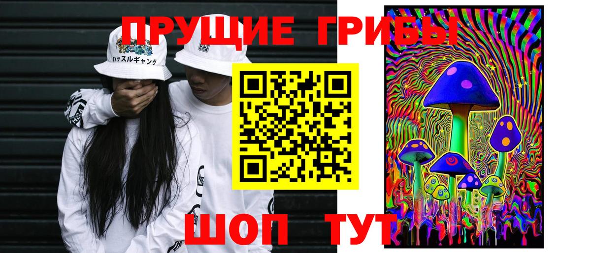 Псилоцибиновые грибы MAGIC MUSHROOMS  Псилоцибиновые грибы мухоморы  Кольчугино 