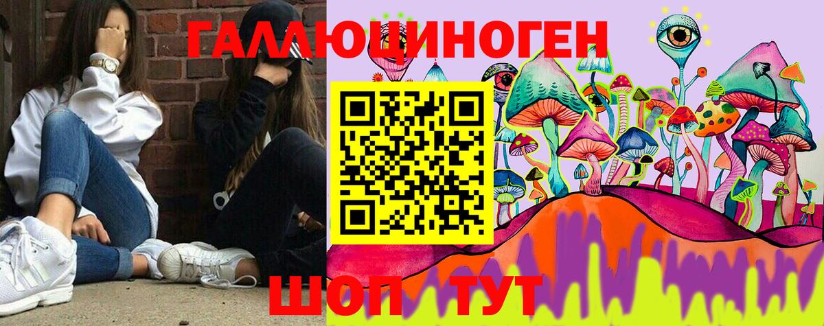 Галлюциногенные грибы GOLDEN TEACHER  Вход с VPN  продажа наркотиков  Галлюциногенные грибы Psilocybine cubensis  Кольчугино 