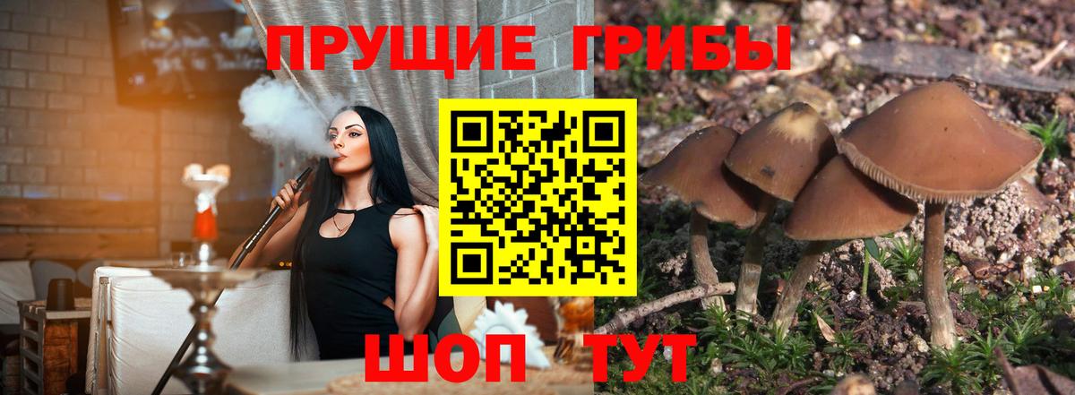 COCAIN  Хэш  NBOMe  Кольчугино  Мефедрон  Каннабис  Купить наркотики цена  Вход с VPN  Cocaine 