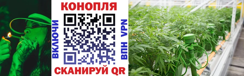 Шишки марихуана конопля Кольчугино